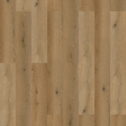 TrendFloor Lite - Piso Vinílico LVT Colado Linha ECO - Cedro Australiano